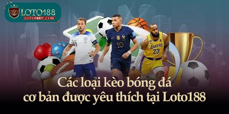 Các loại kèo bóng đá cơ bản được yêu thích tại Loto188