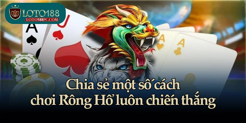 Chia sẻ một số cách chơi Rồng Hổ luôn chiến thắng