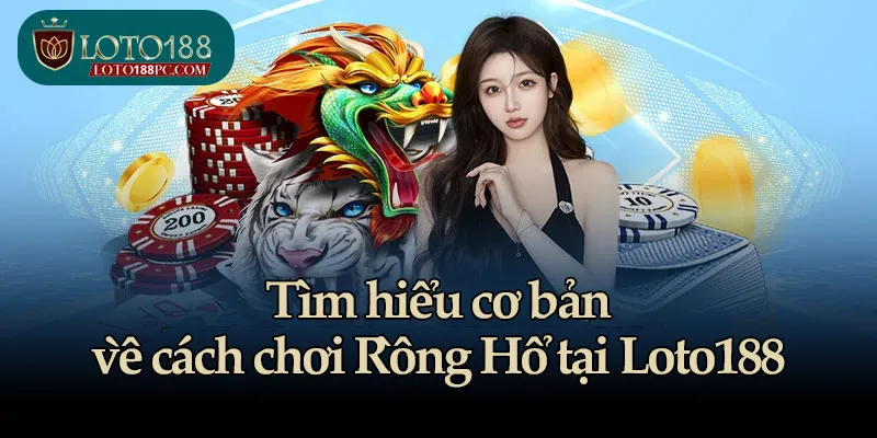 Tìm hiểu cơ bản về cách chơi Rồng Hổ tại Loto188