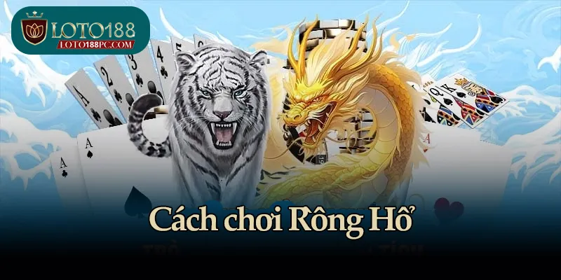 Cách chơi Rồng Hổ - Chiến lược và mẹo thắng lớn tại Loto188