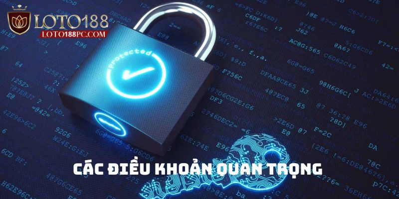 Chính sách bảo mật Loto188 có nguyên tắc chính nào