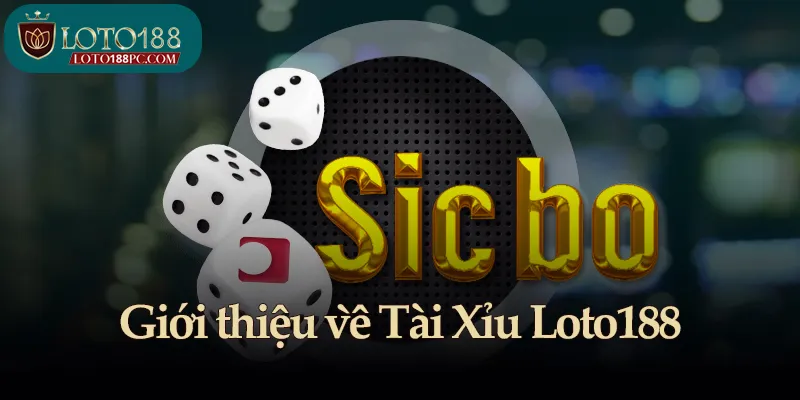 Giới thiệu về Tài Xỉu Loto188